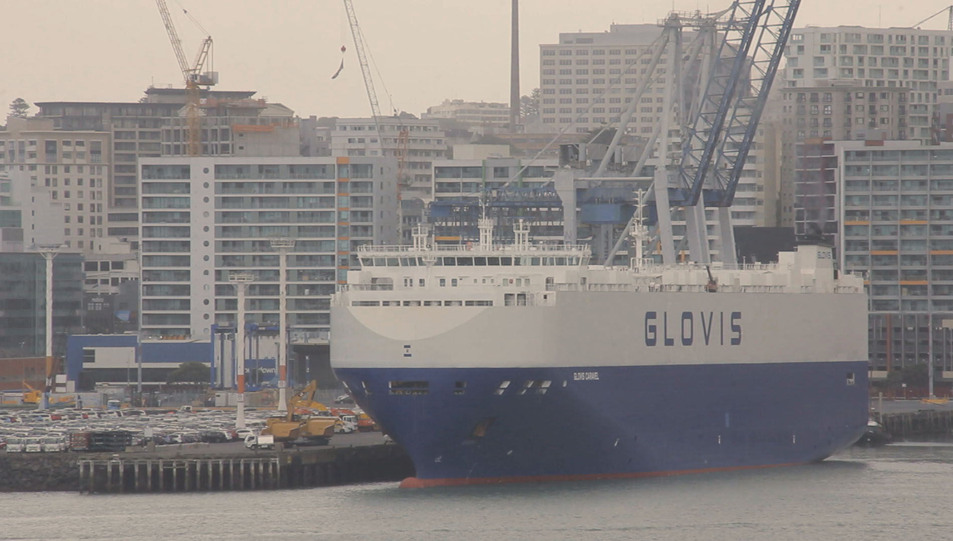 Glovis Caravel